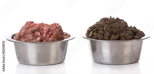 Obraz bowl of raw and kibble