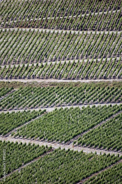 Obraz vignoble savoyard