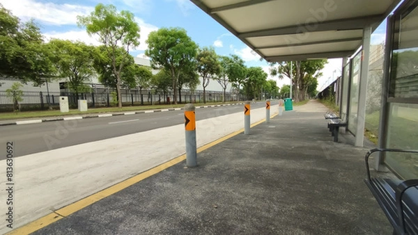 Obraz trees lined up in a road side opposite a bus stop