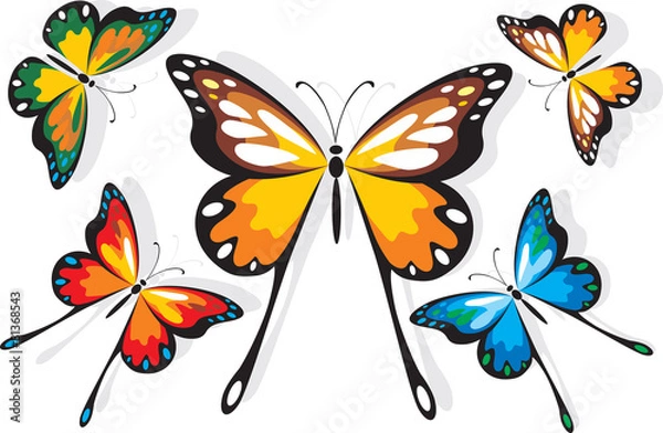 Obraz Butterfly School Set Four