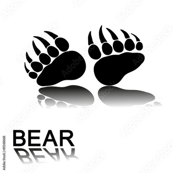 Obraz bear paw prints