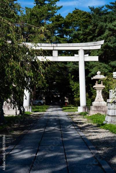 Fototapeta Torii(鳥居)