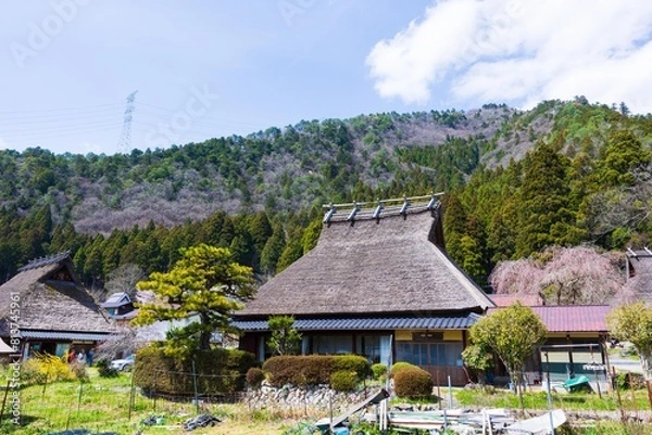 Fototapeta 日本家屋