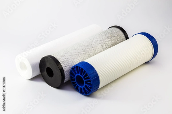 Obraz House water filter