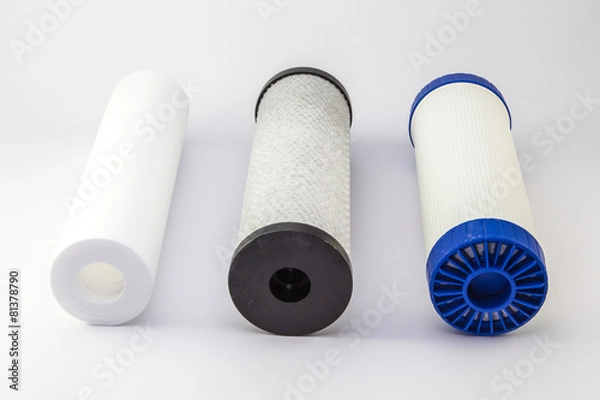 Obraz House water filter