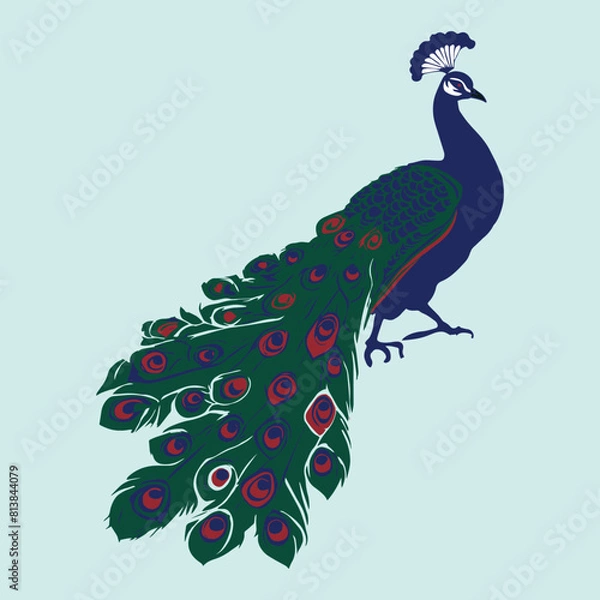 Obraz a beautiful vector peacock 