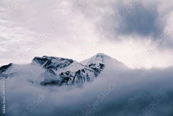 Obraz Storied Pictures