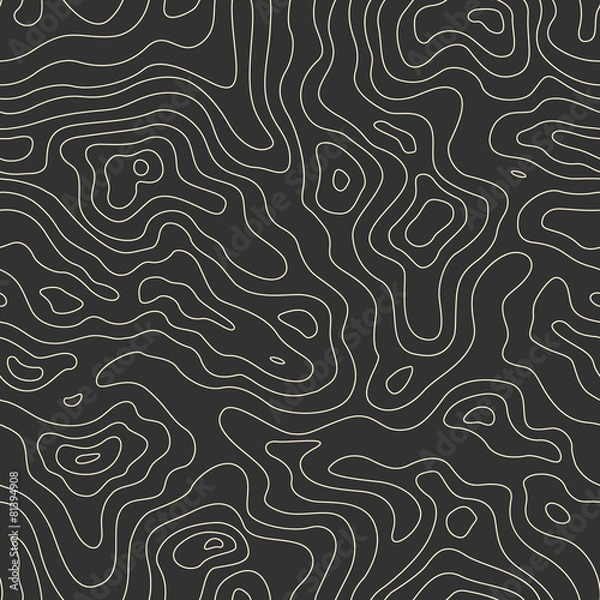 Obraz Mapa topograficzna płynny wzór. Wektor tło