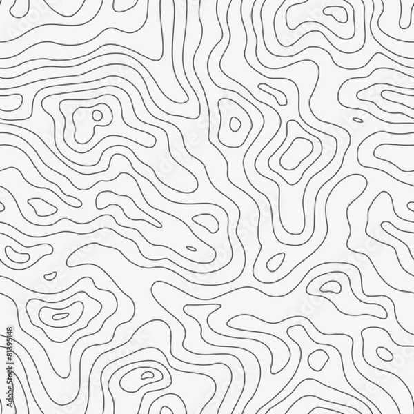 Obraz Wzór mapy topograficznej. Tło wektor