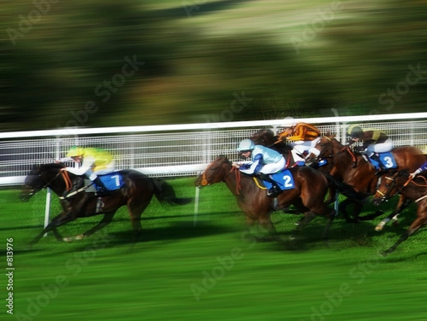 Obraz wyścigi konne