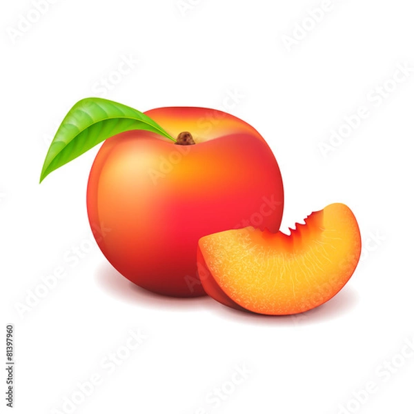 Fototapeta Peach and slice isolated on white vector