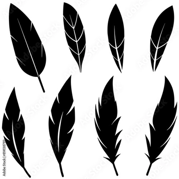 Fototapeta different type of Feather Set icon, a different position feather logo isolated on white background