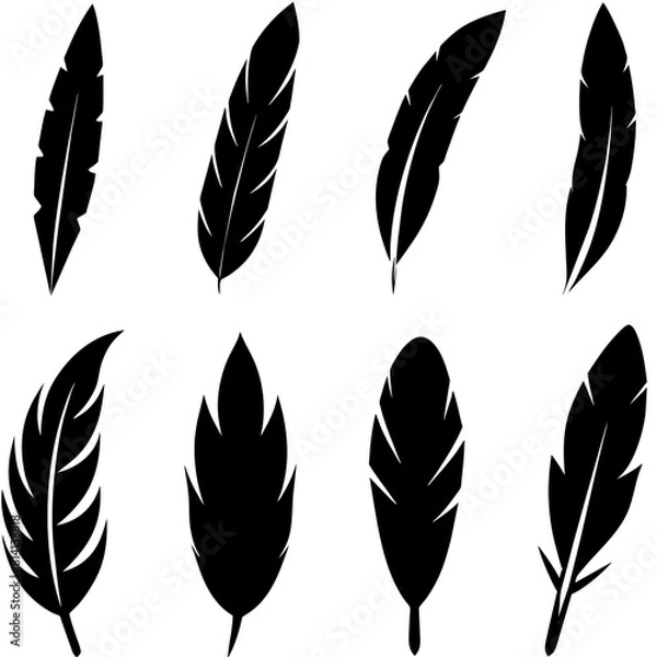 Fototapeta different type of Feather Set icon, a different position feather logo isolated on white background