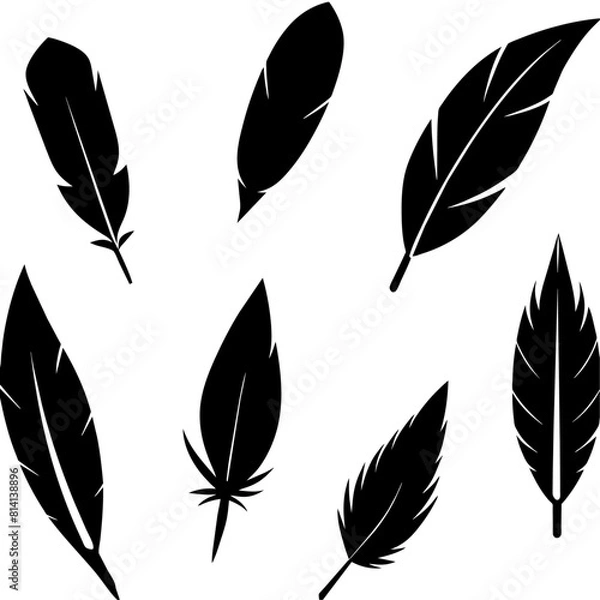 Fototapeta different type of Feather Set icon, a different position feather logo isolated on white background