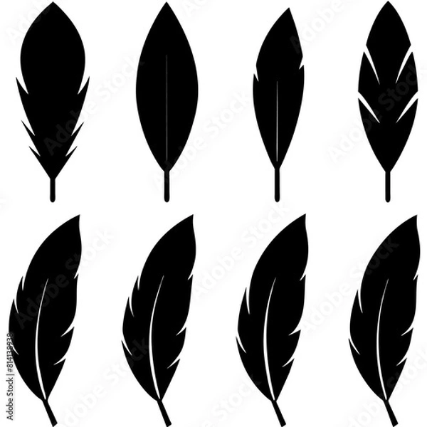 Fototapeta different type of Feather Set icon, a different position feather logo isolated on white background