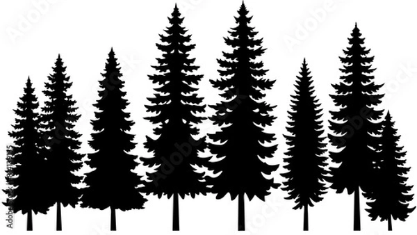 Obraz different type of Vintage forest pine trees with ground soil silhouette