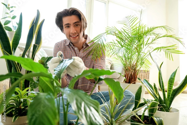 Fototapeta Handsome man with plants sitting on floor at home