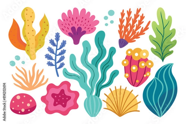 Fototapeta Collection of seaweeds and corals.