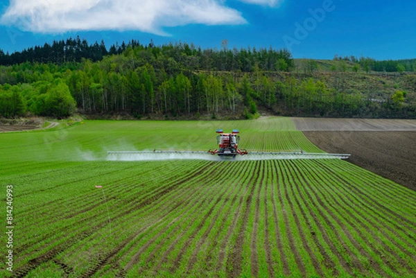 Obraz 北海道東部津別の玉ねぎ畑農作業