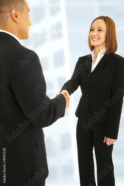 Fototapeta Shake Hand In Office