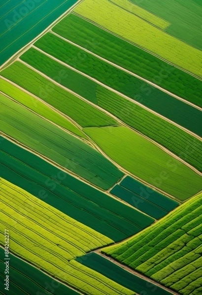 Fototapeta illustration, aerial geometric patterns agricultural fields view, shapes, symmetry, design, crop, landscape, agriculture, lines, farming, formations, rural