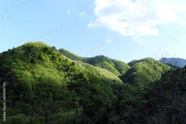 Obraz 青い空と新緑の山々