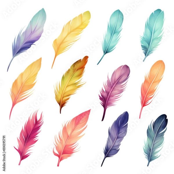 Fototapeta A bunch of colorful feathers.