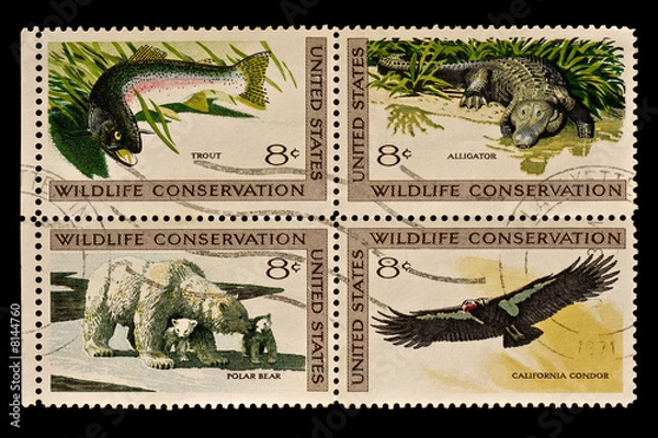 Obraz Wildlife conservation Postal Stamp