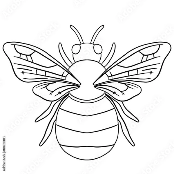 Obraz Bee Line Art