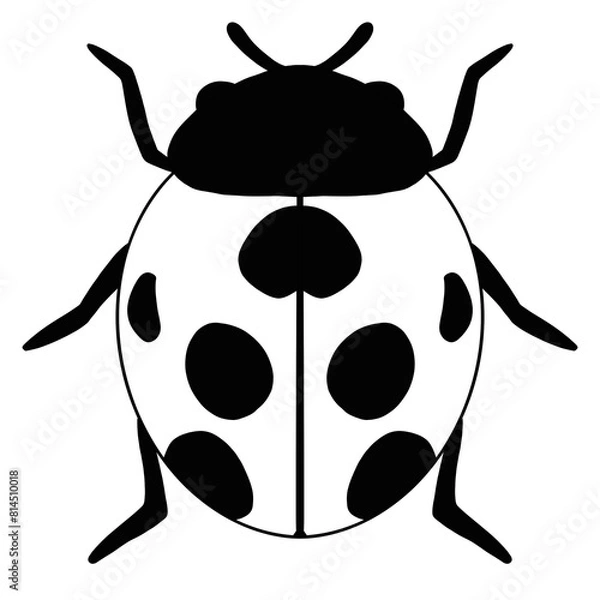 Obraz Lady Bug Line Art