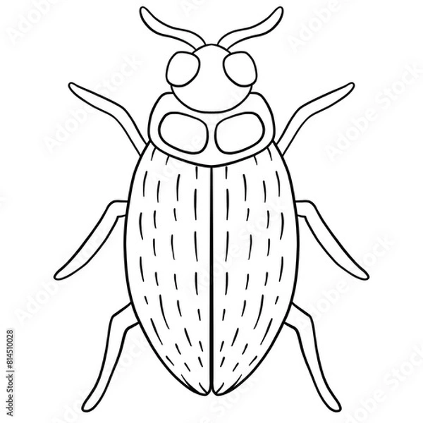 Obraz Beetle Line Art