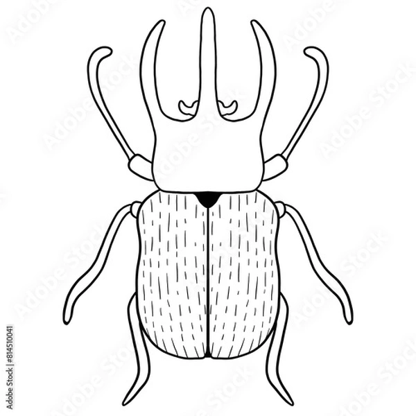 Obraz Beetle Line Art