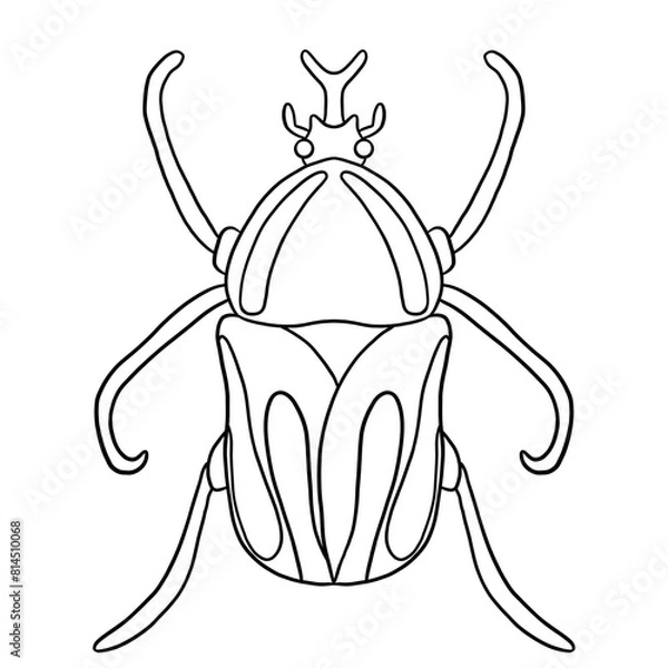 Obraz Beetle Line Art