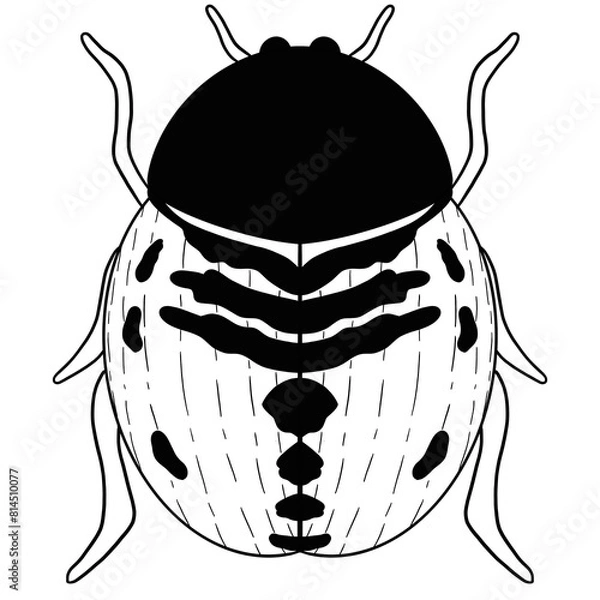 Obraz Lady Bug Line Art