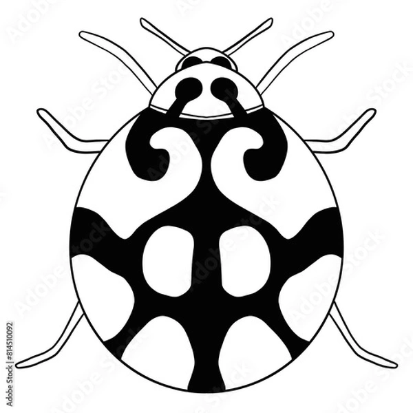 Obraz Lady Bug Line Art