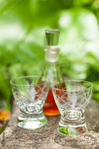 Obraz booze - Schnaps im Garten