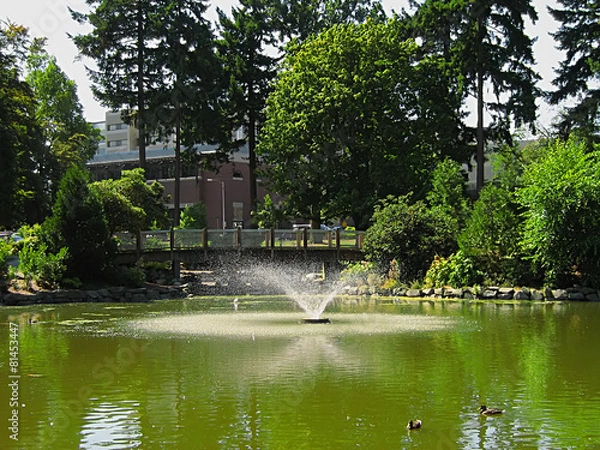 Obraz A Walk In The Park