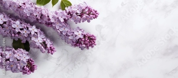 Fototapeta A top down view of lilac flowers in full bloom resting on a serene gray backdrop The image showcases the beauty of nature in summer with a spacious area for additional content