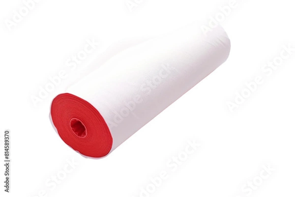 Fototapeta The Elegance of Blank Canvas. On a White or Clear Surface PNG Transparent Background.