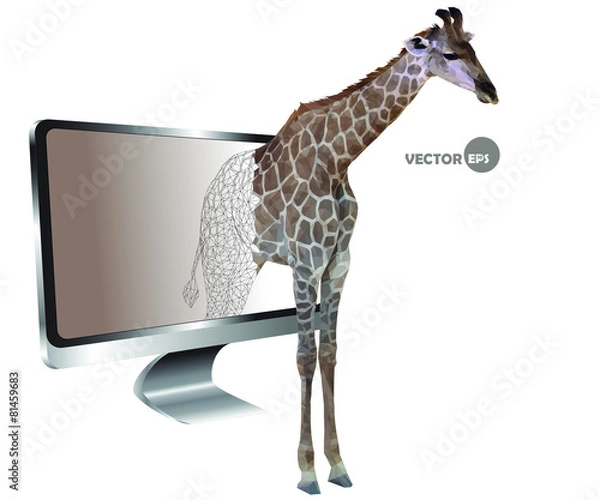 Fototapeta silhouette of a giraffe on the screen
