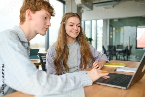 Fototapeta Group of college students using laptop in the library
