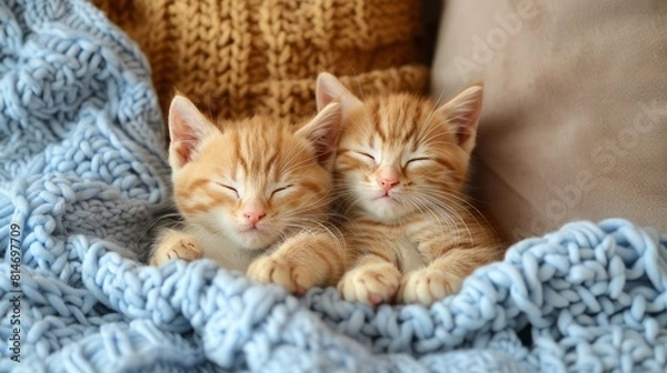 Obraz Two cute ginger kittens sleeping soundly in a cozy blue blanket.