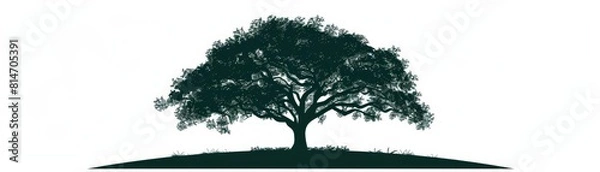 Fototapeta Create a minimal line drawing of a large oak tree with a few branches. The tree should be centered in the image with a white background.