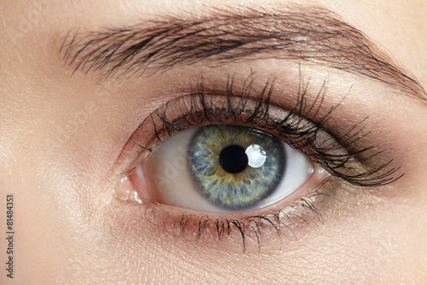 Fototapeta Macro image of human eye