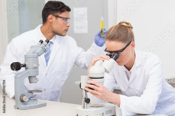 Obraz Scientists using microscope