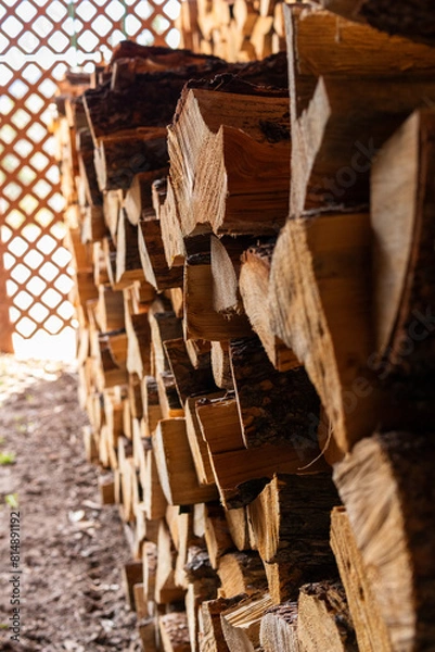 Obraz view of a neatly stacked woodpile far focus