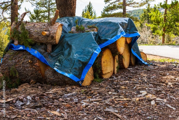 Obraz covered wood pile ready to be split