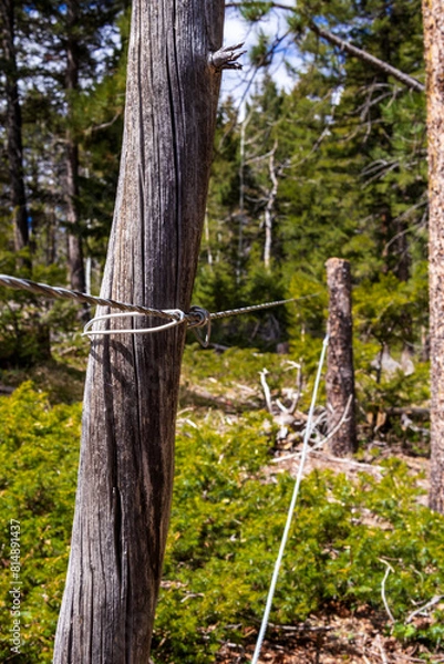 Obraz view of an old fence line in the mountains