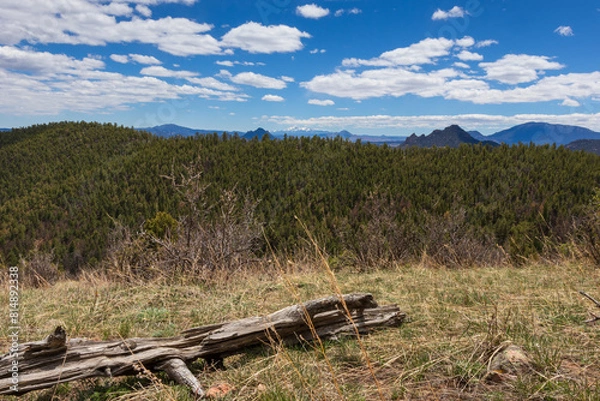 Obraz landscape view of the mountains with a dry log in the foreground