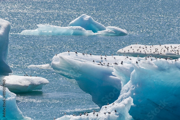 Fototapeta a close view over the big and breathtaking swimming floating glaciers on the famous Jökulsárlón lagoon lake in iceland